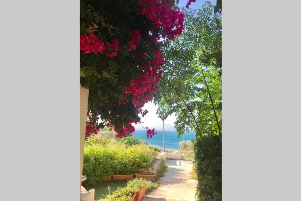 Studio On The Beach Loutraki  Exterior photo